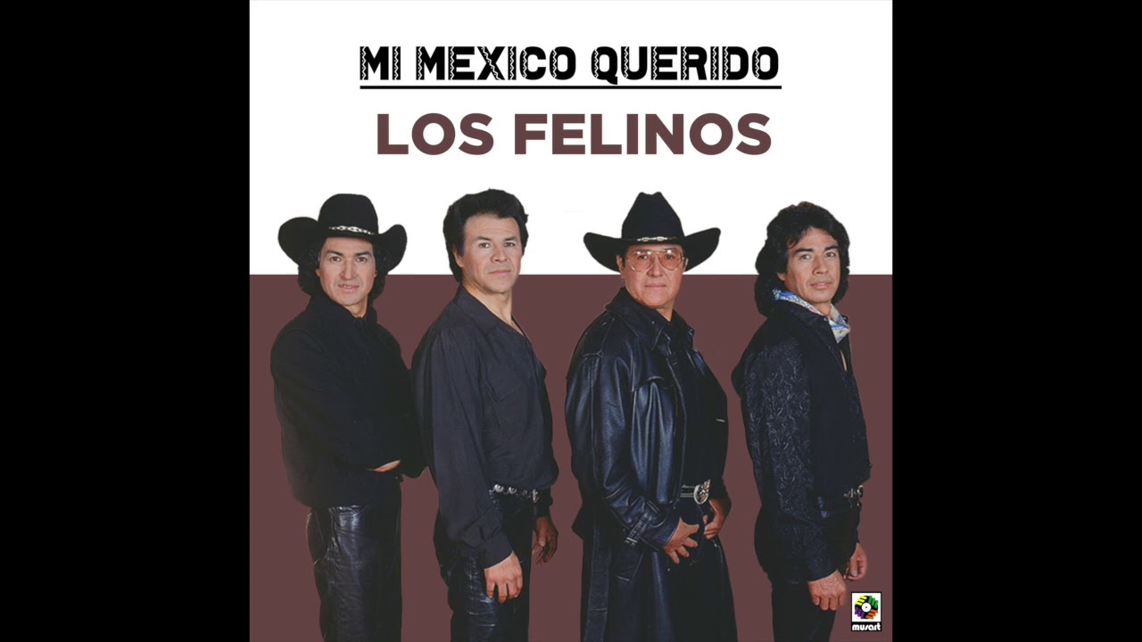 Los Felinos – La Mula Bronca (Audio Oficial)