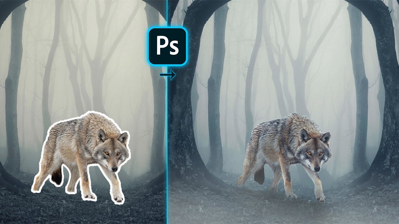 how to match subject with background in photoshop