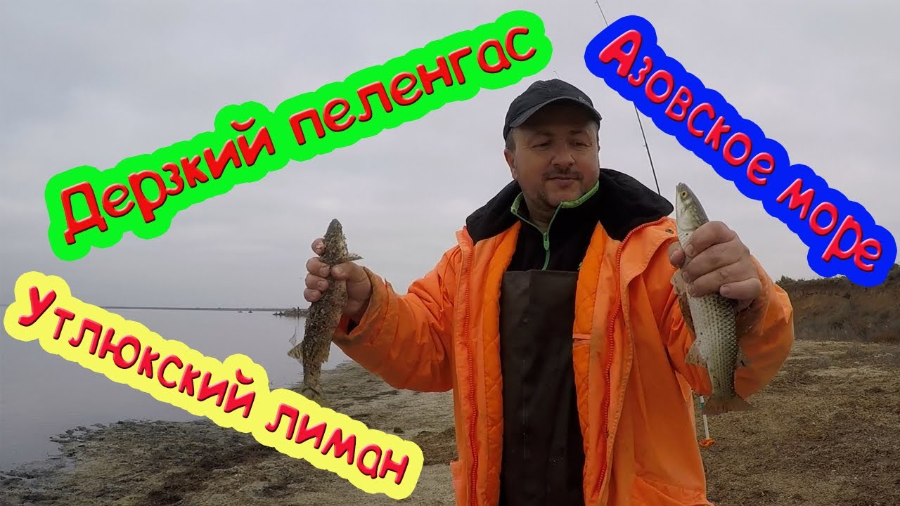 Пеленгас. Утлюкский лиман. Азовское море.