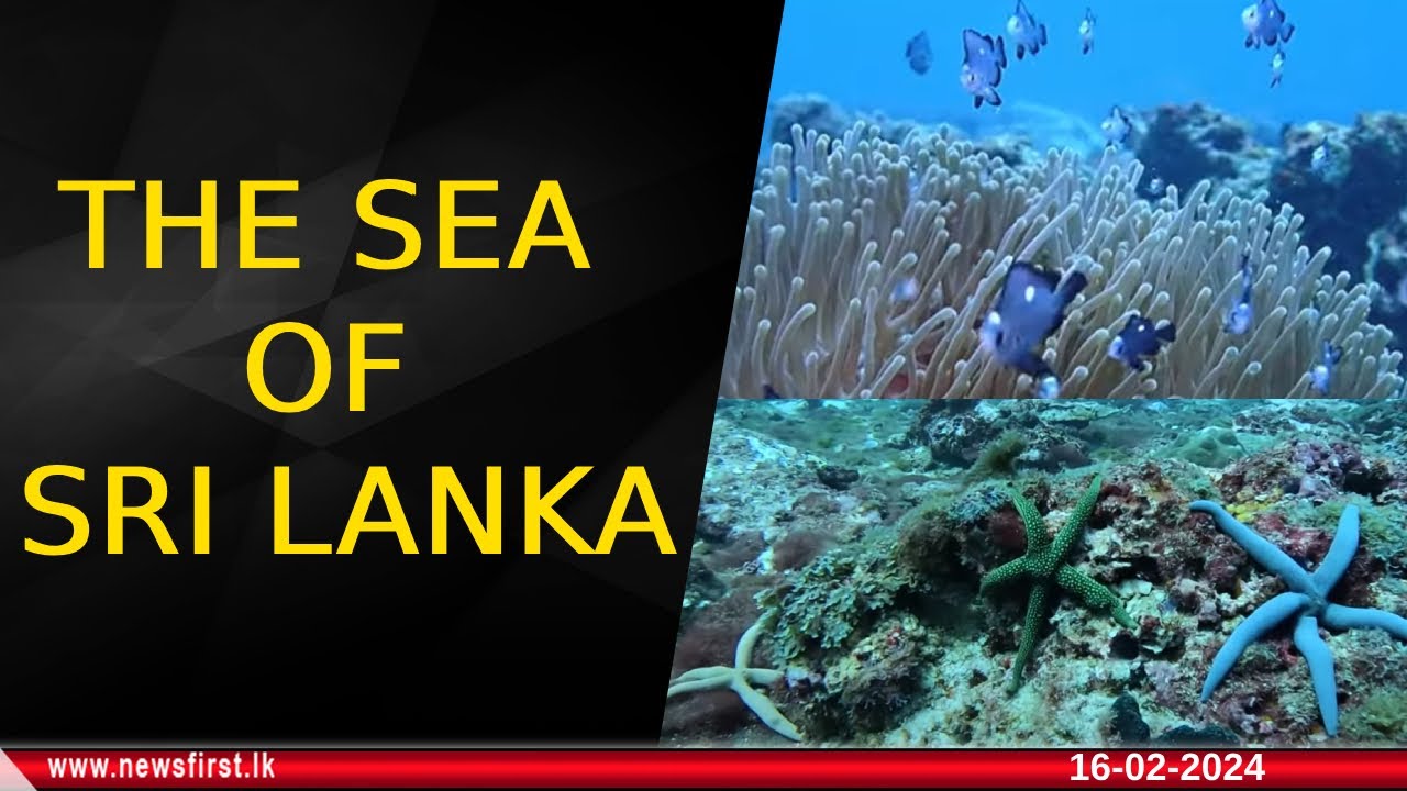 මුහුදු පත්ලේ විශ්මය... -  The Sea of Sri Lanka | Episode 01