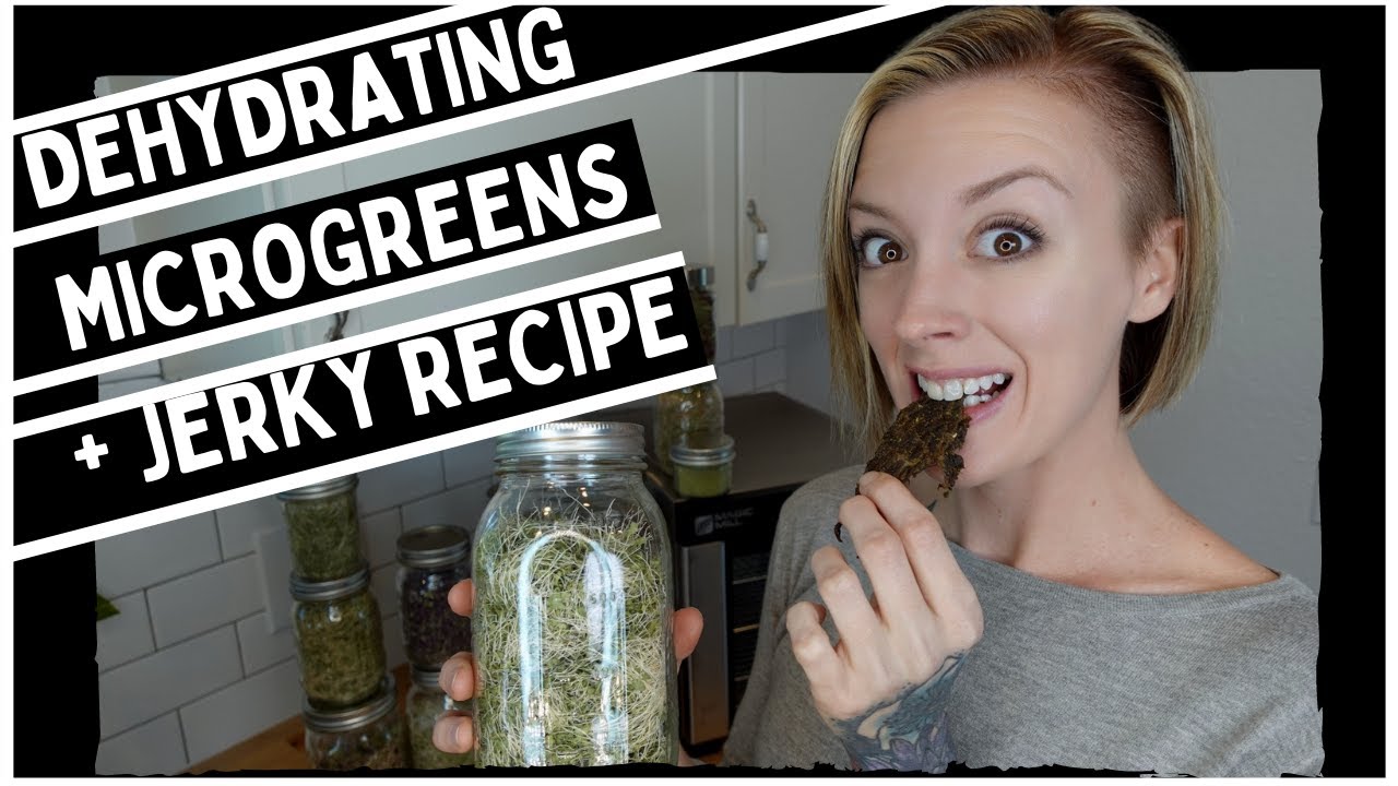 HARVESTING & DEHYDRATING Microgreens for HOMEMADE Jerky Recipe
