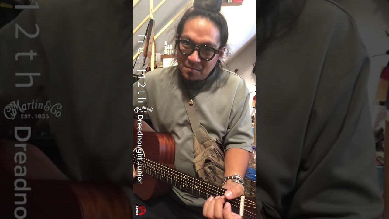 |:| Martin & Co : Dreadnought Junior (Mahogany) 
