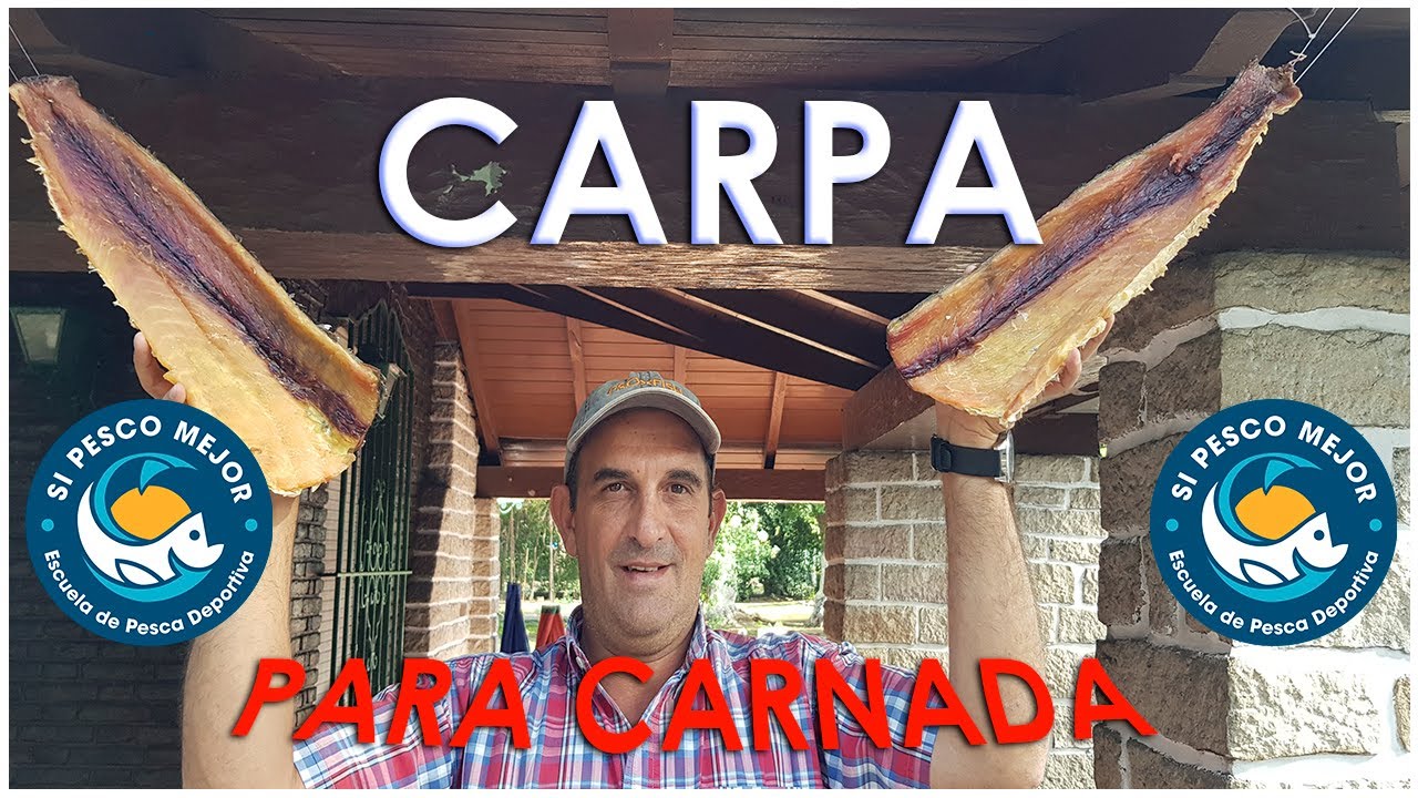 COMO HACER CARNADA CON CARPA !!!