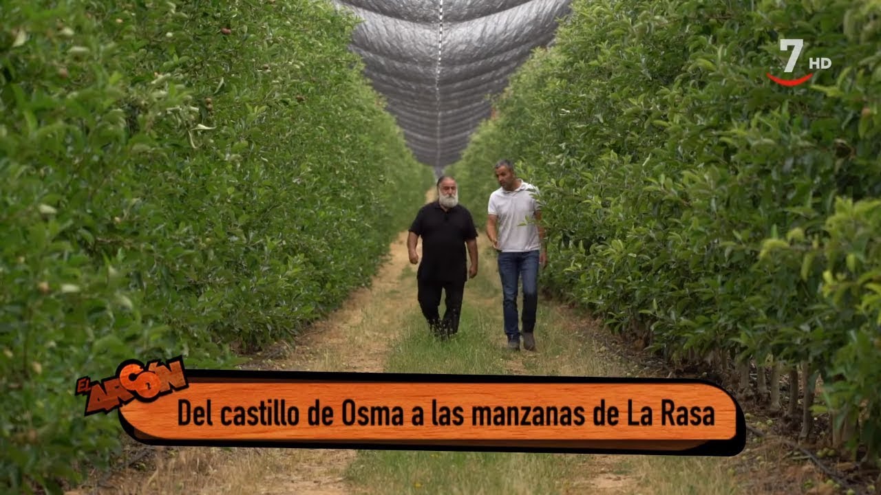 El Arcón (280 / Parte 1).- Del castillo de Osma a las manzanas de La Rasa