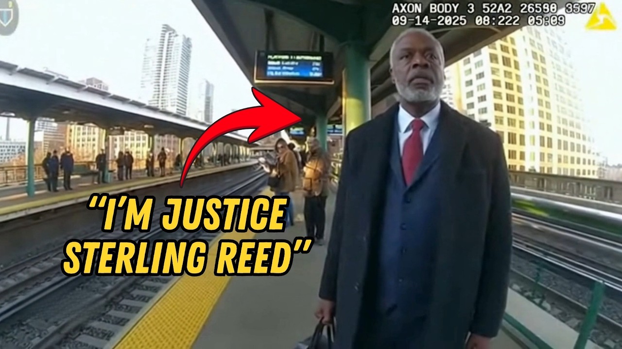 Cop Handcuffs Black High Court Justice at Train Station &mdash; Judicial Probe