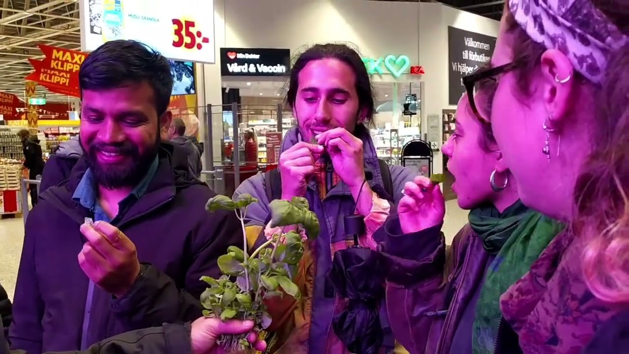 FoodE: Exploring vertical farm and urban agriculture facilities in Malmö and Stockholm 6