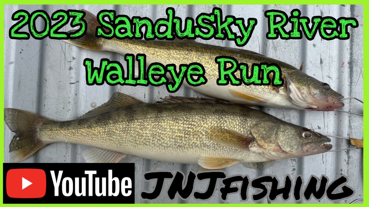 2023 Sandusky River Walleye Run March 3rd