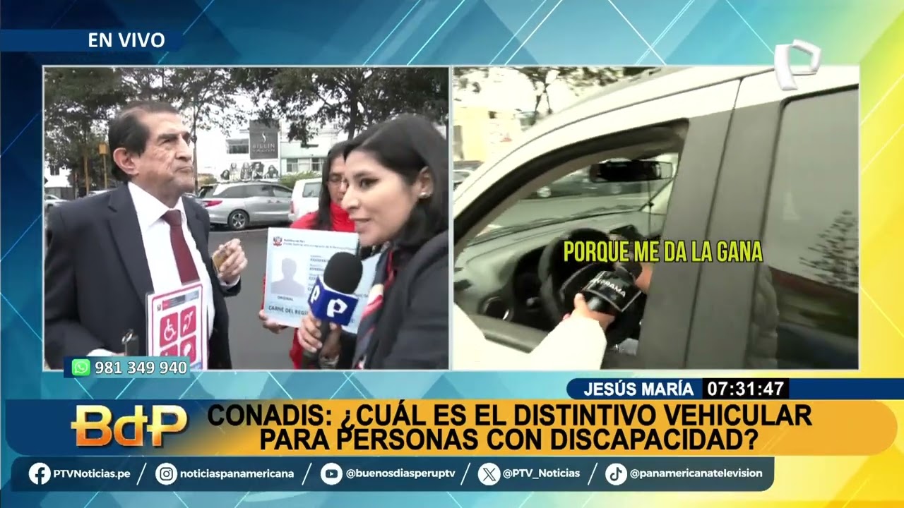 Conadis: ¿Cuál es el distintivo vehicular para personas con discapacidad?