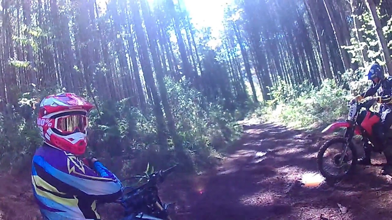#Mxf 250 rx #Crf230 #Xr 200 #Xtz 200