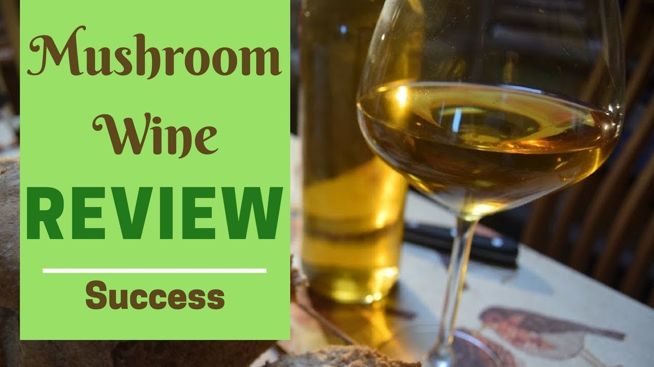 Mushroom wine - taste test and review!