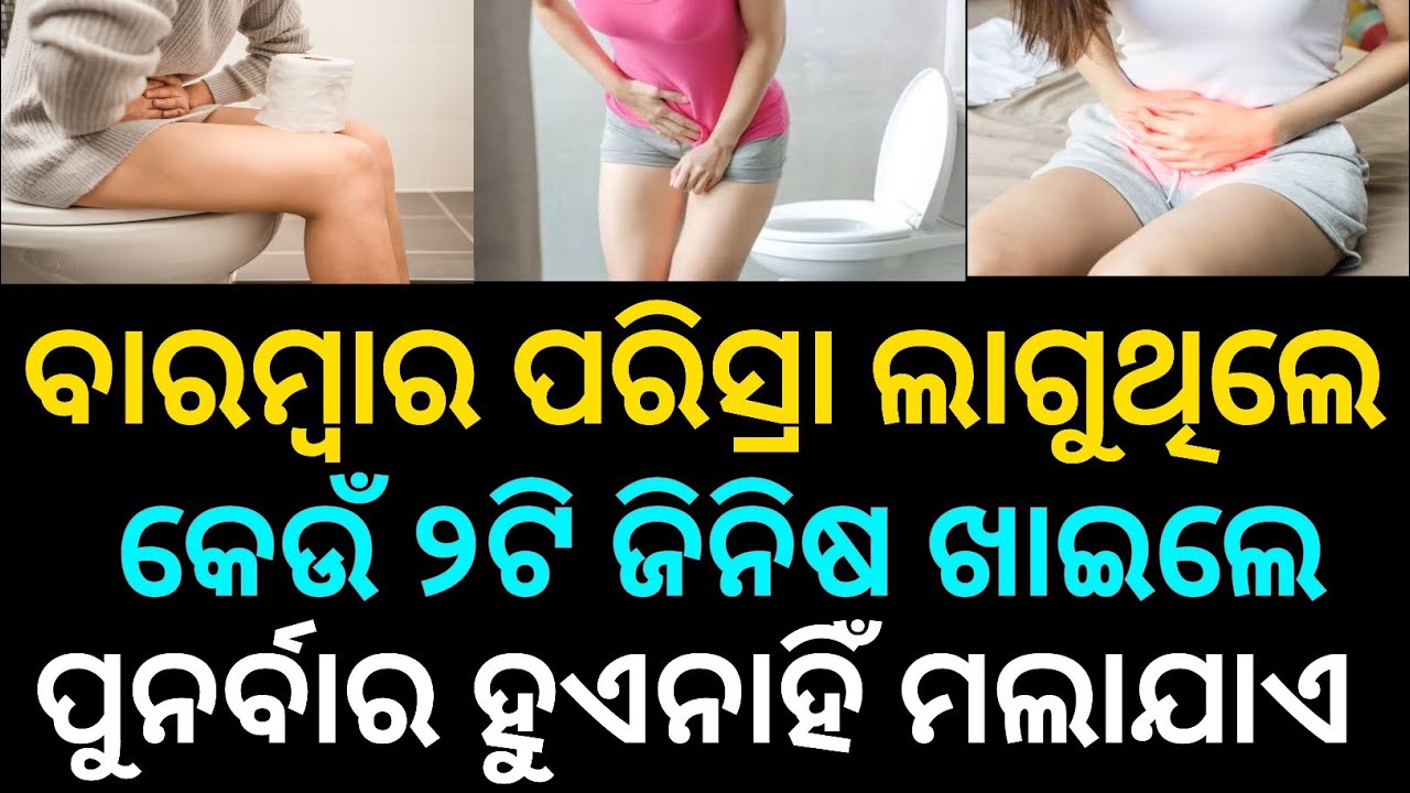 Odia Gk 2026 | Most Important Gk | General Knowledge Quiz | Odia Quiz | Odia Gk Question And Answers