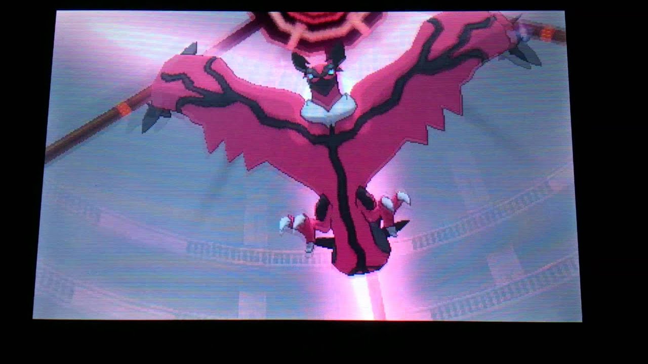 Yveltal appeared!