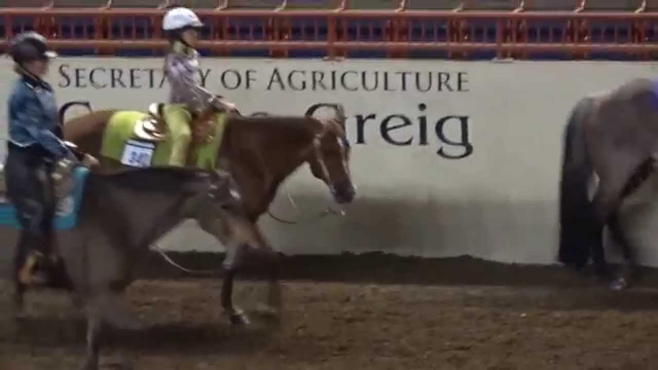 Western Pleasure - PA State 4-h Horse Show 2014 Class winner