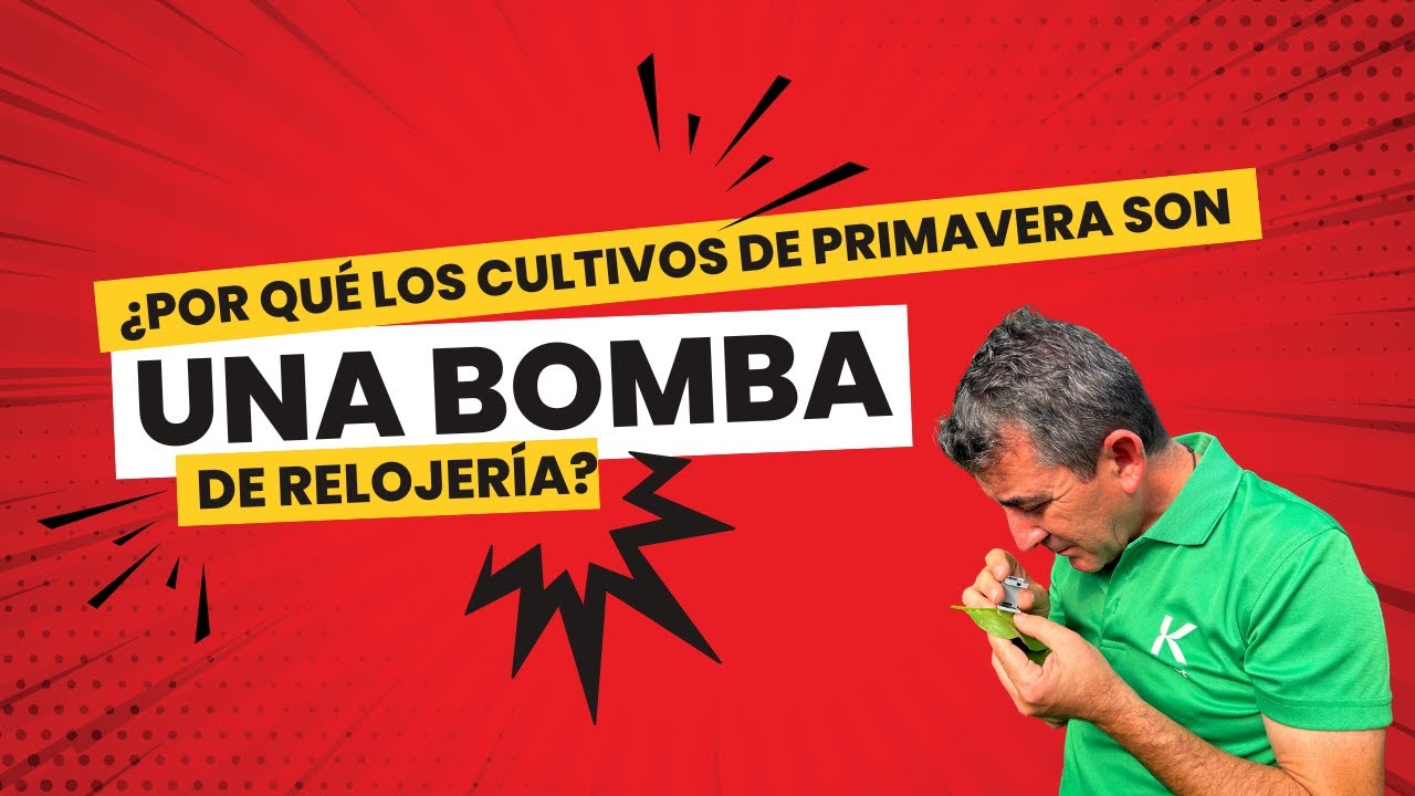 ¿Por qué los cultivos de primavera son una bomba de relojería?