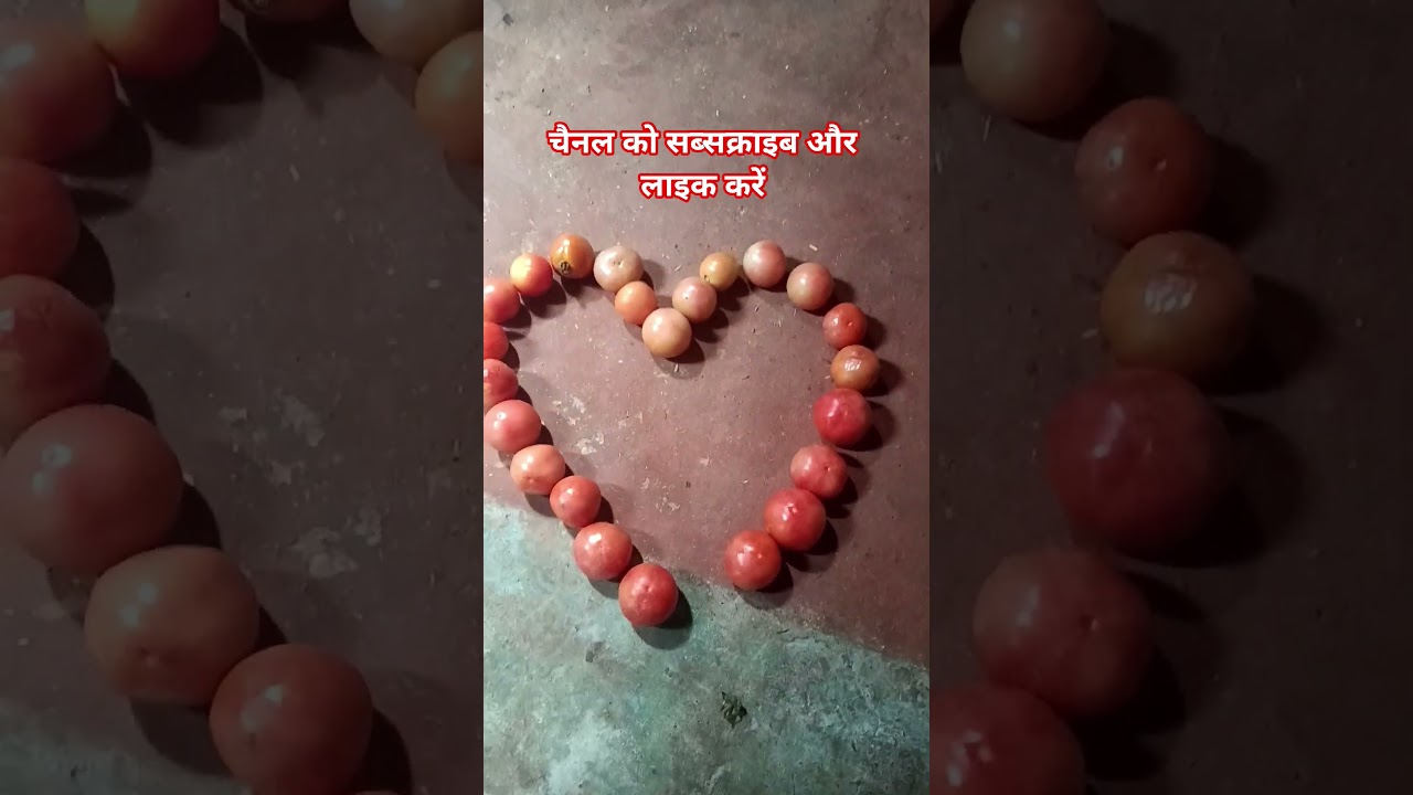 India mein log bolate Hain 