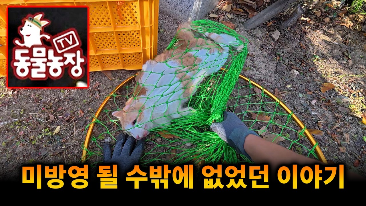 동물농장에 미방영 될 수밖에 없었던 이야기..