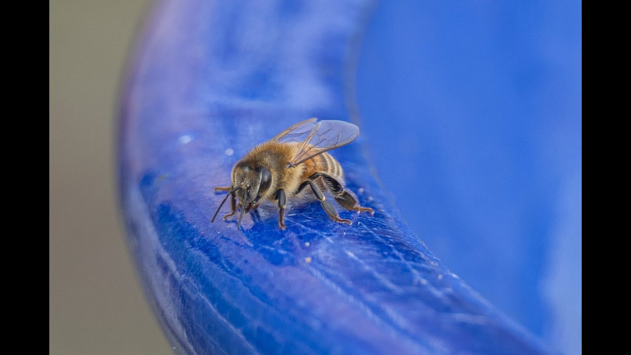 First Year Beekeeping 2024