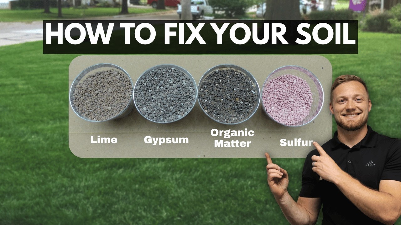 How to Fix Your Soil: pH, Lime, Sulfur & Gypsum Made Simple