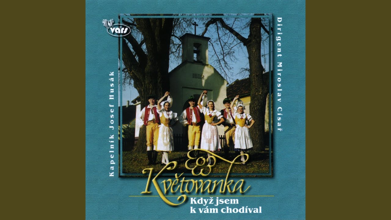 Kdybych byla ptáčkem
