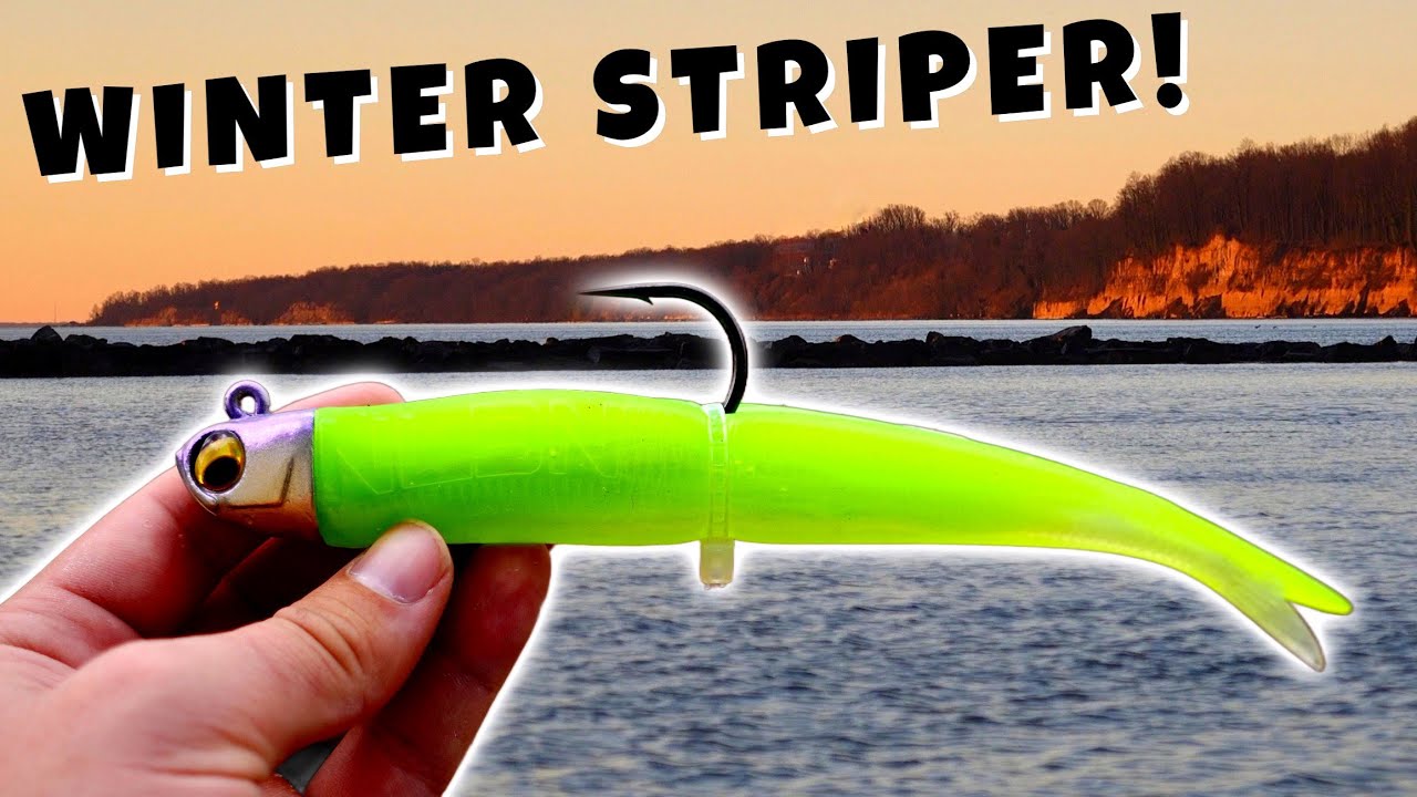 Jigging for BIG Winter Striped Bass in the Chesapeake Bay!
