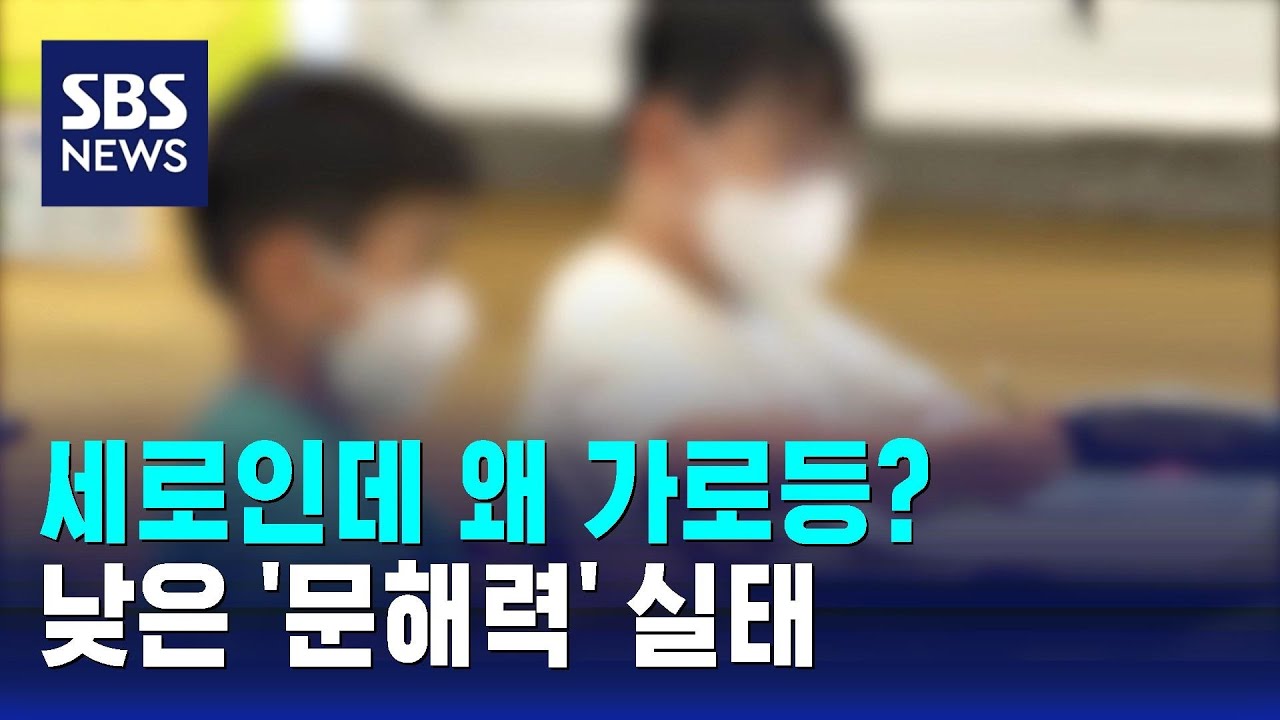 세로인데 왜 가로등?&hellip;낮은 '문해력' 실태 / SBS