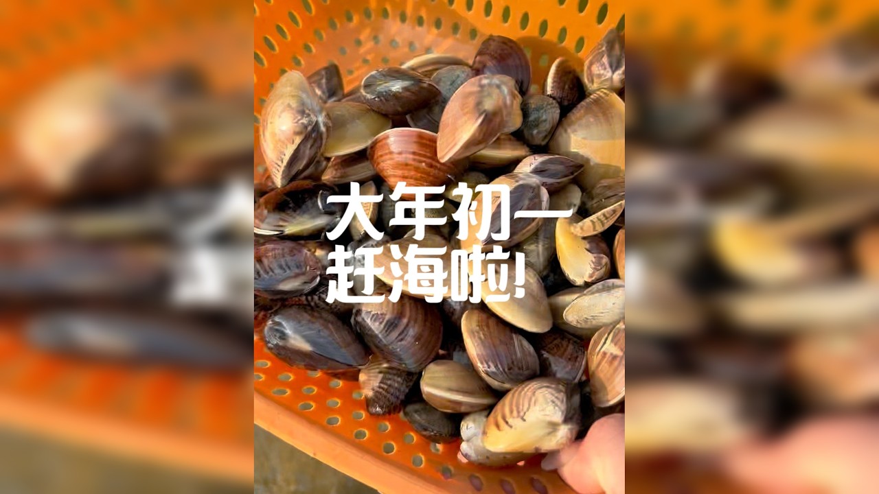 #挖蛤蜊 大年初一有谁去赶海的吗？反正我没去，发个赶海库存给大家拜年啦#赶海 #大海的馈赠 #海边生活 #捡不完根本捡不完