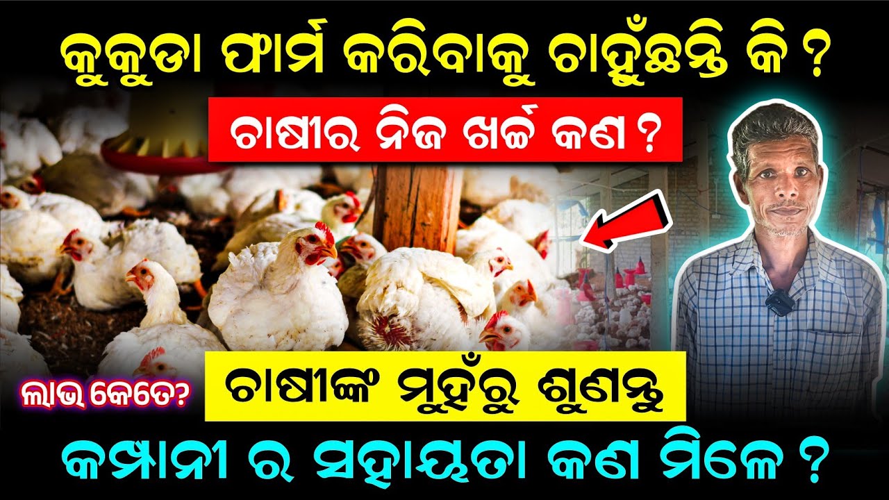 କଣ୍ଟ୍ରାକ୍ଟ ଫର୍ମିଂ ରେ କୁକୁଡା ଚାଷ କିପରି ଆରମ୍ଭ କରିବେ (Start Contract Poultry Farming In Odisha)