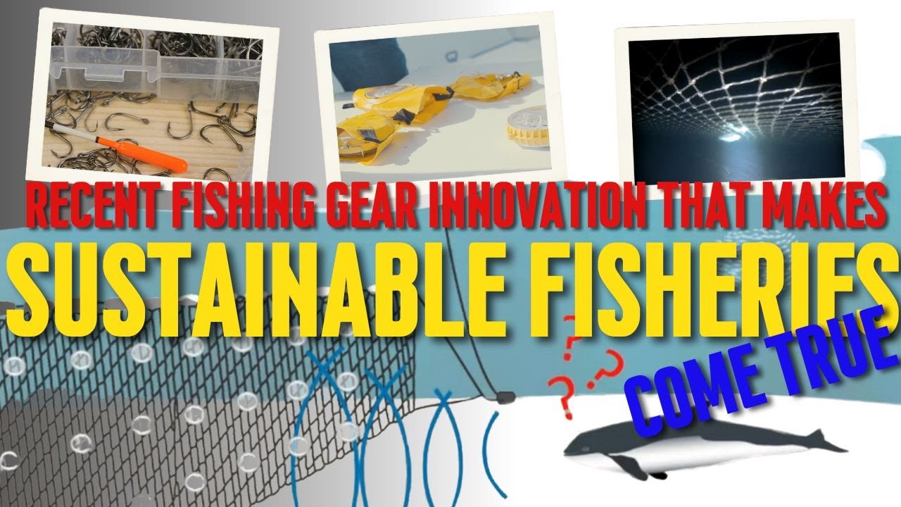 New Innovation in Fishing Gear: Why it creates, and What It Impacts for Future Fisheries🐟🐟🐟