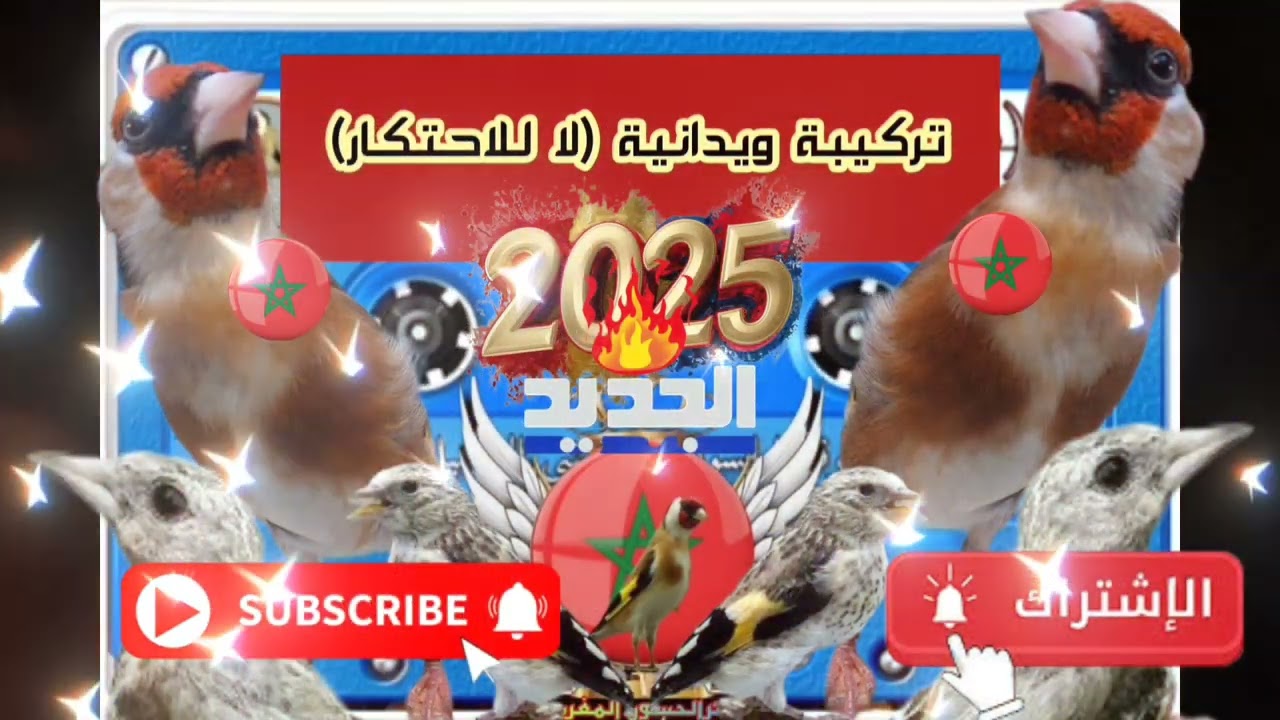شريط ويداني رائع 2025 (لا للإحتكار) هدية لكل المتتبعين الأوفياء 👍♥️👌