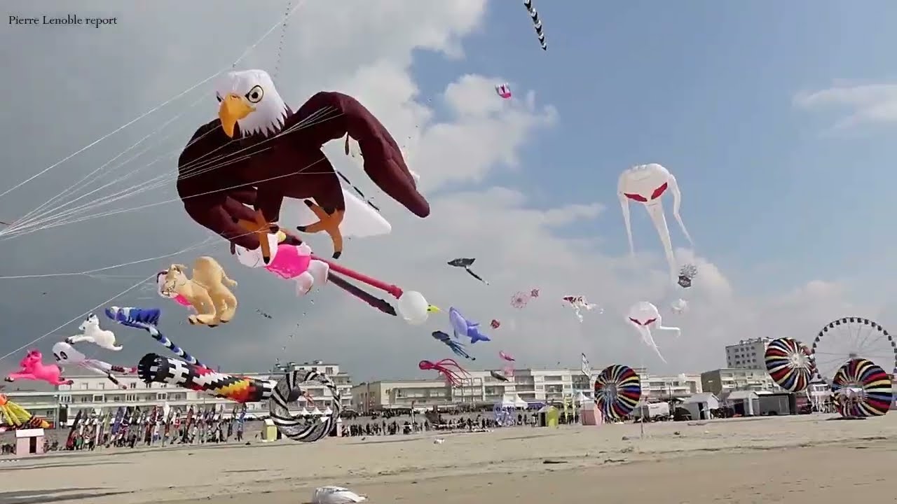 Les Cerfs Volants de Berck sur Mer 1  La Plage  Pierre Lenoble report