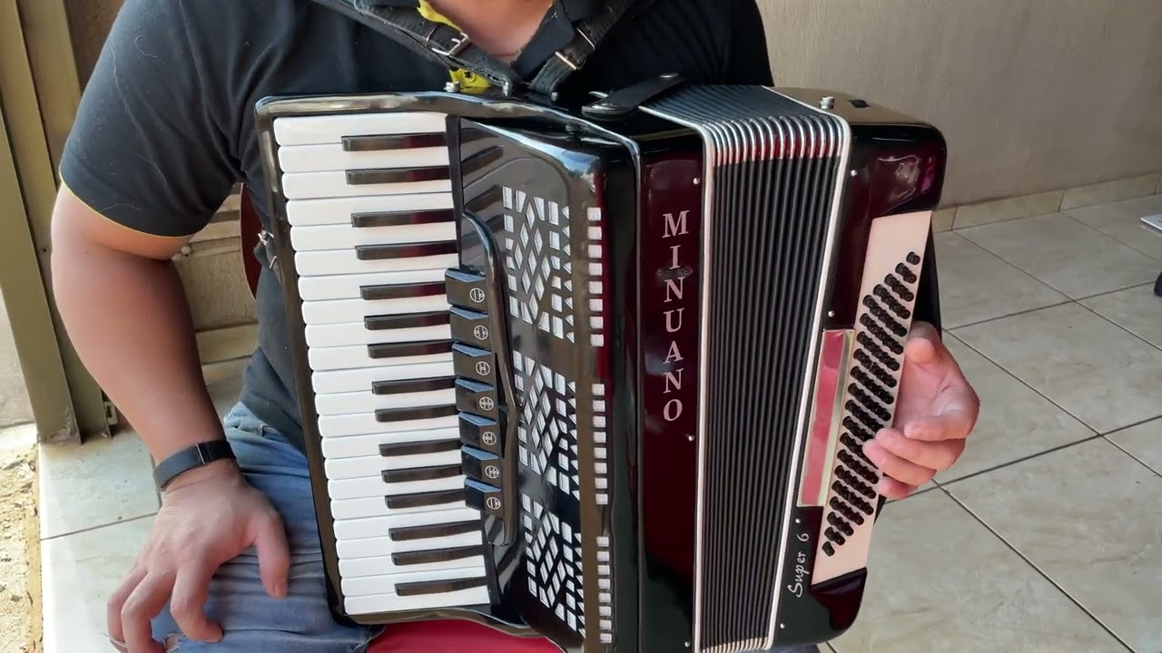 Acordeon Minuano 80 Baixos Super 6 - Oitavada (✈️✈️✈️Vendido✅)
