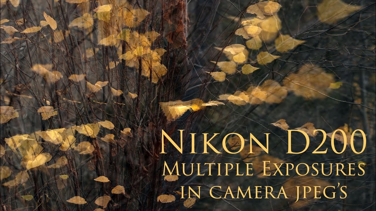 The Nikon D200 - It's Still Awesome! Check Out These Multi-Exposure Autumn JPEG's