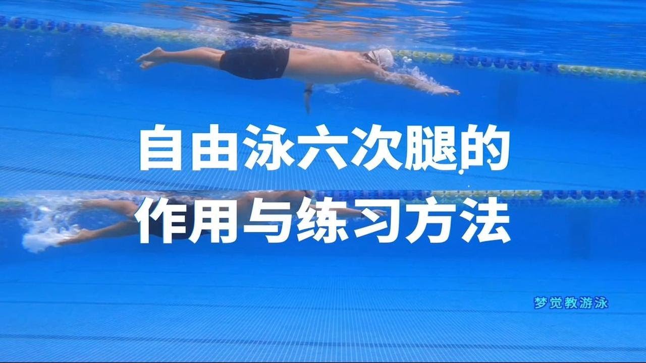 梦觉教练教你自由泳第三弹：自由泳6次腿的作用与练习方法