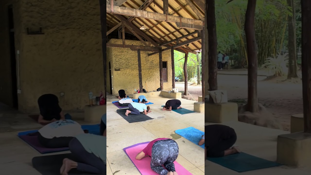 Move. Breathe. Restore.Experience a unique yoga class in peaceful vibes of Apegama, Battaramulla ❤️