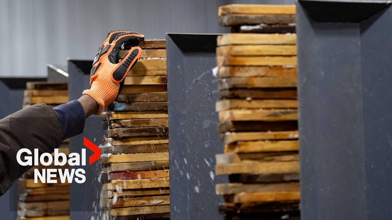 Trump's tariffs force Canada's lumber industry to switch to metric system