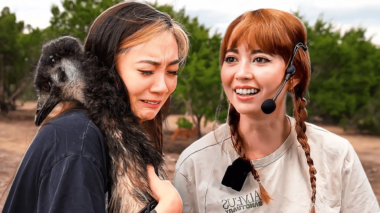 making animal friends w/ Maya Higa