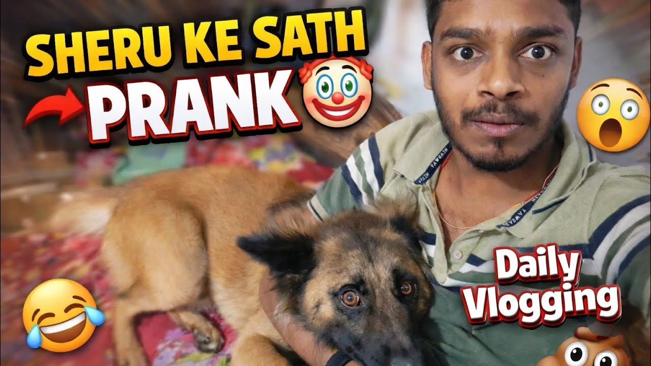 Aaj Sheru Ke Sath Prank Kiya 😱🐕 | Daily Vlog | Must Watch