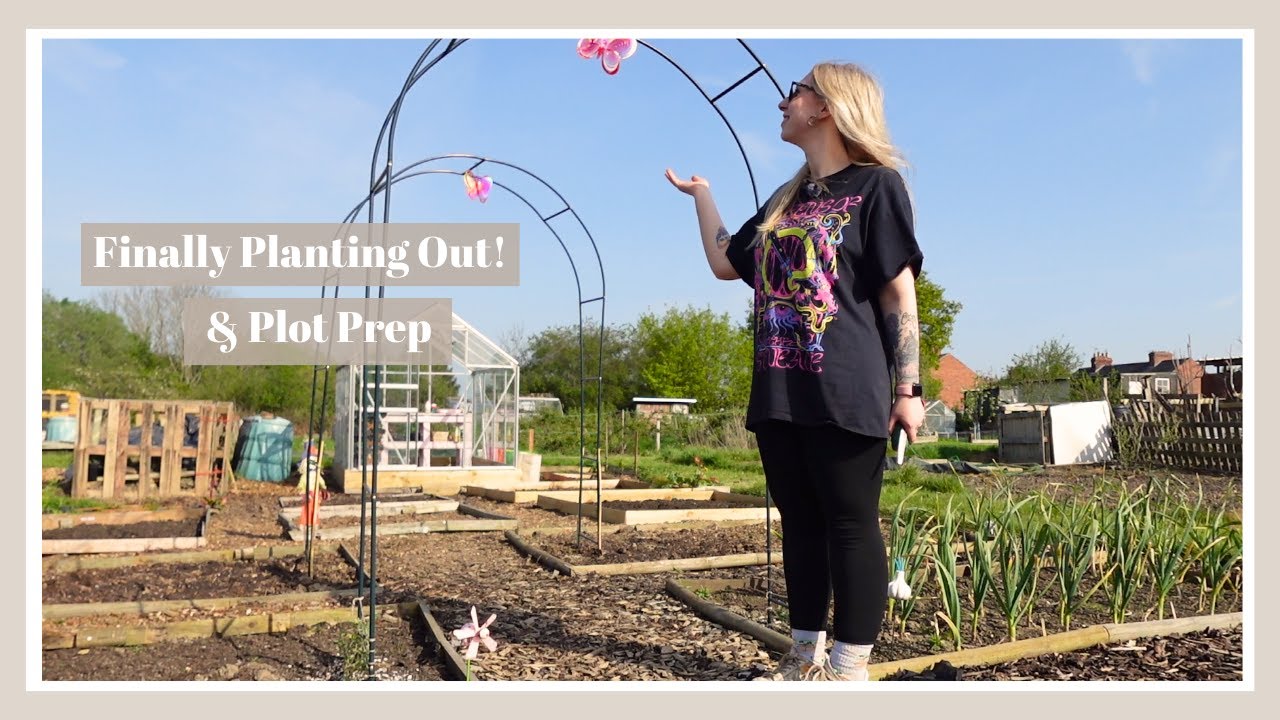 Finally Planting Out! Lots of Preparation at the Plot | May Allotment Jobs 🌿 The Allotment Vlogs #31