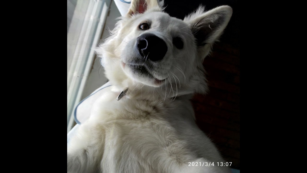 Bella - 1st year of life