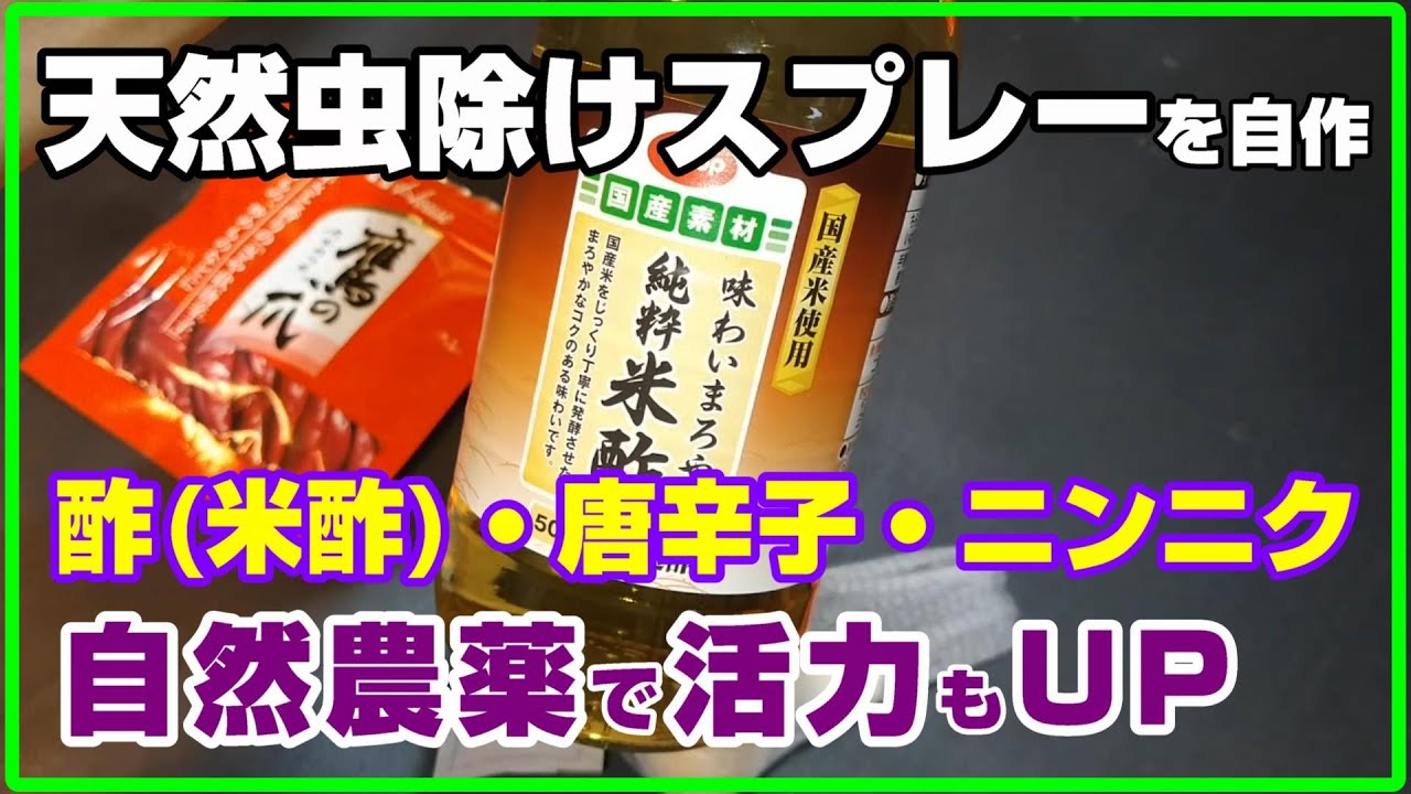 [家庭菜園]お酢・唐辛子・ニンニクを使った天然虫よけスプレーを自作 ～長雨時期の活力UP～【自然農薬】【アブラムシ・うどんこ病対策】【窒素過剰対策】