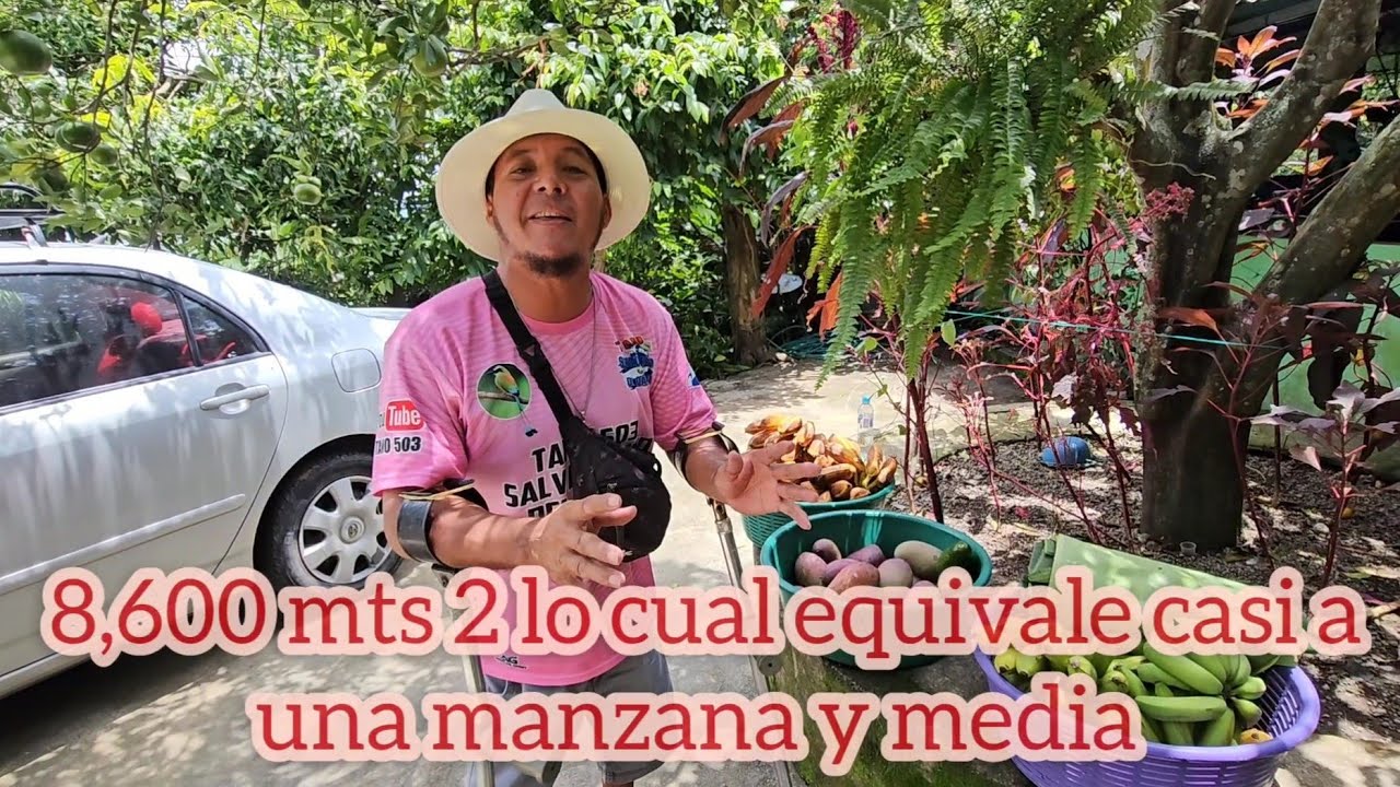 FINCA CON CASA ZONA FRESCA UN PARAISO DE FRUTAS😱