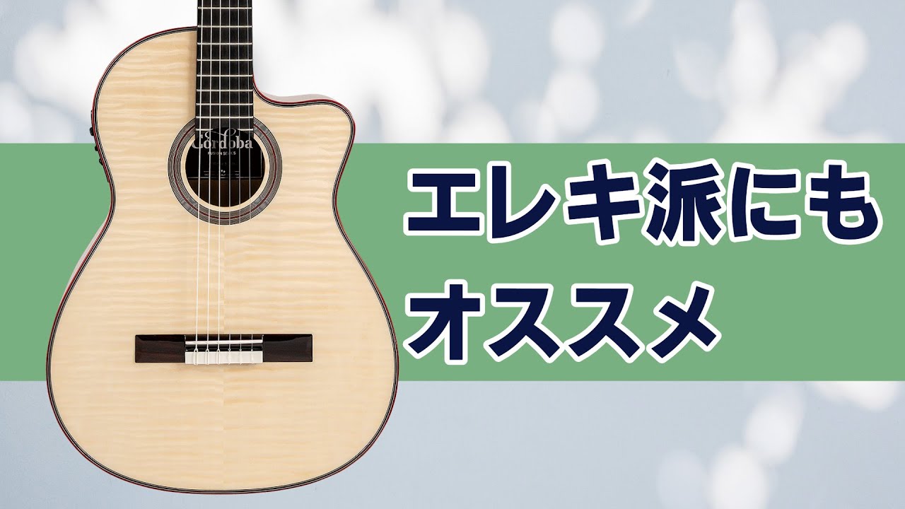 Cordobaから、弾きやすさ満点なナイロン弦エレアコ！ Fusion 12 White Sands