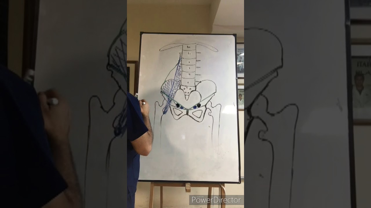 Teórico N° 17: Inervación del miembro inferior. Dr. Ignacio Ruiz Hardoy.