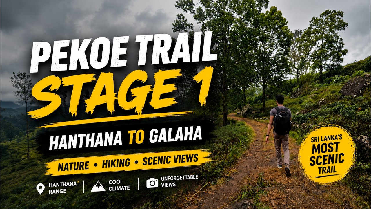 Pekoe Trail Stage 1 | Hanthana to Galaha | Scenic Tea Estate Hike in Kandy