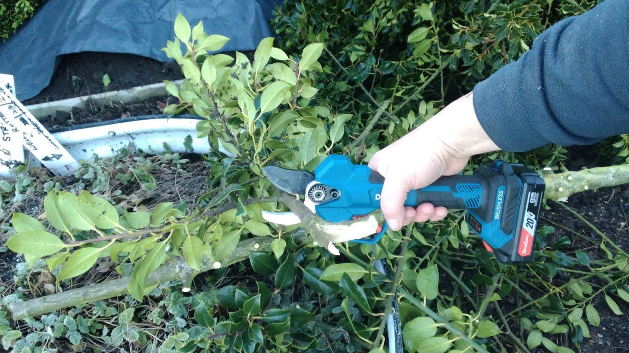 Dong Cheng 20v Brushless Electric Pruning Shears Up To 35mm Cut Product Review