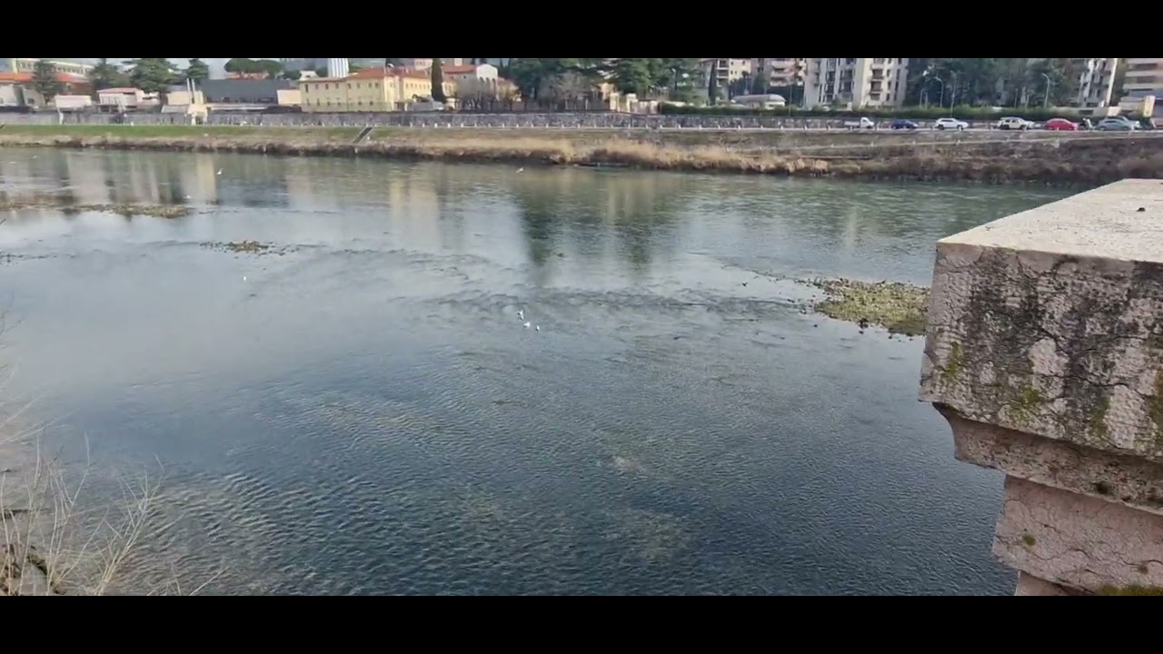 Nature and architecture entwined in a perfect duet ​A path of floral scents and fresh breezes​#super