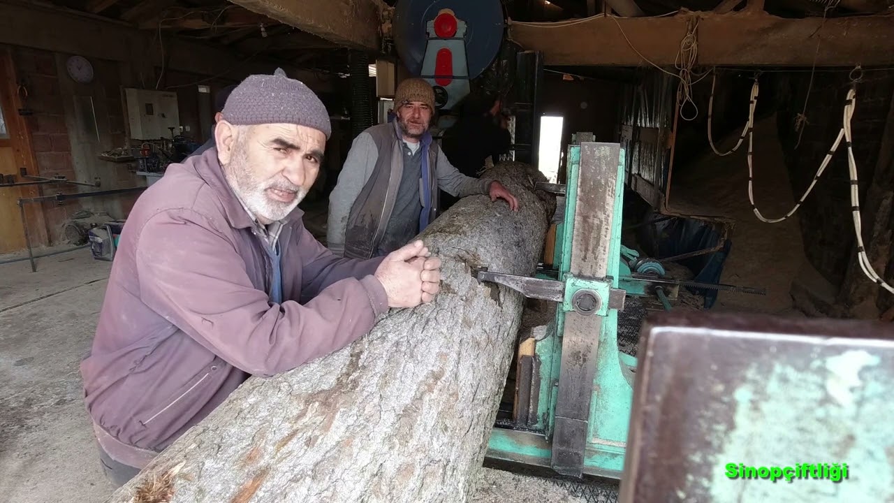 Incredible documentary of change in pine tree lumber workshop Sinop_Sinop Kereste at&ouml;lyesi belgeseli