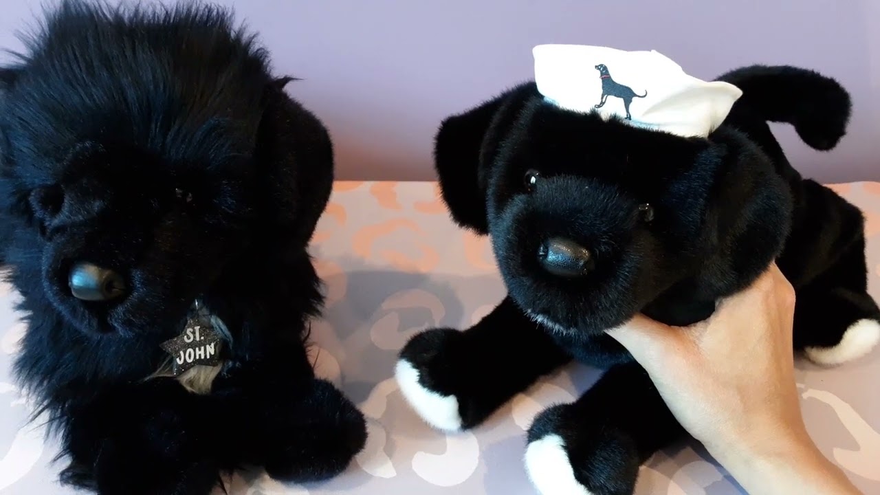 Unboxing The Black Dog Sailor Puppy Plush by Douglas Cuddle Toys ⛵🐶🖤