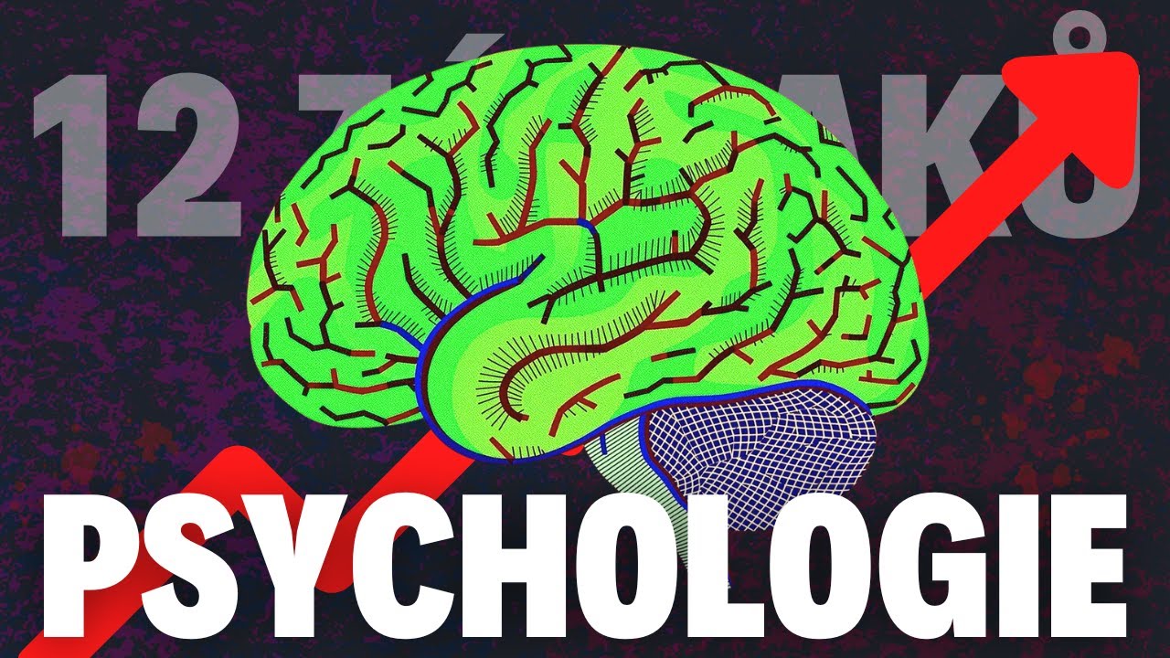 🤯Psychologie, kterou v&aacute;s nenaučili ve &scaron;kole: 12 fascinuj&iacute;c&iacute;ch z&aacute;zraků lidsk&eacute; mysli 🧠 #psychologie