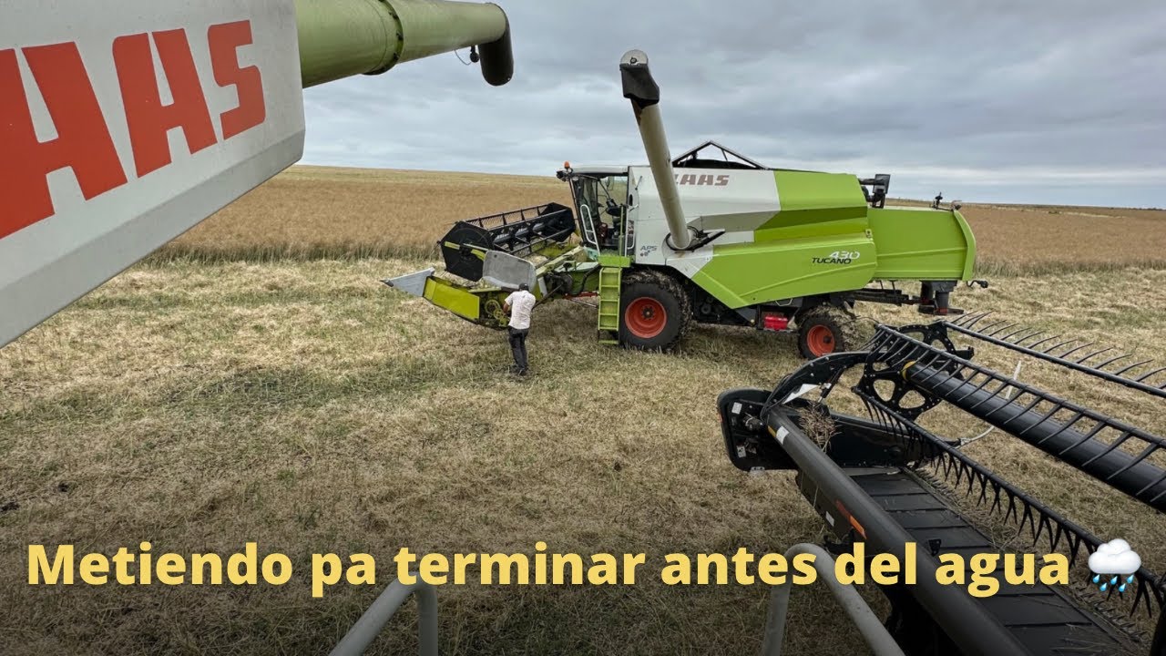 Se juntaron las Claas
